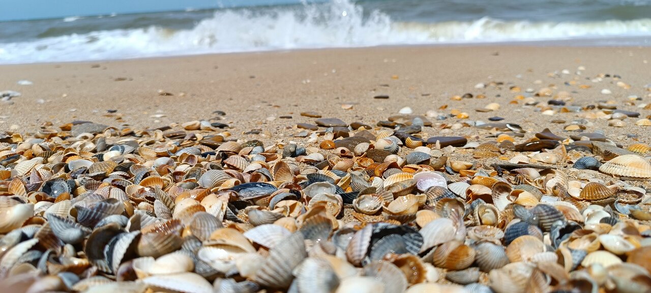 Гостиница Манго Голубицкая-104