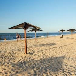 Гостиница Манго Голубицкая-64